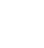 The Property Lawyers Action Group